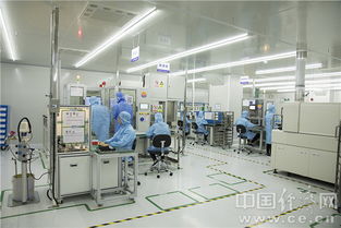 安培龙 潜心研发铸就小巨人“铜头铁臂”