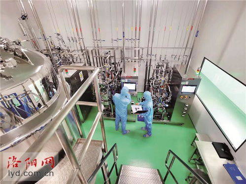 洛阳惠中生物技术 研发高端疫苗，为畜牧业保驾护航的技术先锋