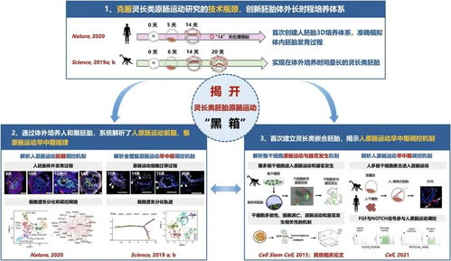 云南3个科技项目获国家科学技术奖 技术开发引领创新浪潮
